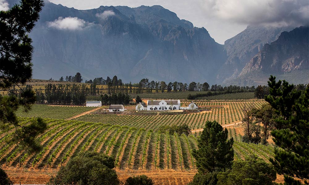 Brookdale Wine Estate