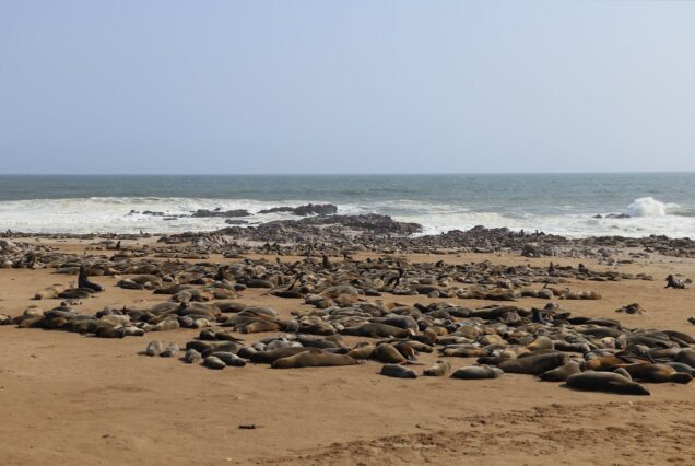 Cape Cross