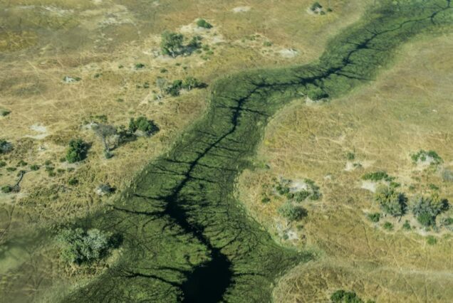 Discover The Okavango Delta