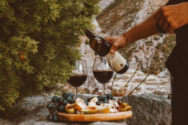 Fynbos Mountain Gourmet Picnic
