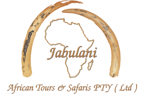 Jabulani Investment Holdigs PTY ( Ltd )