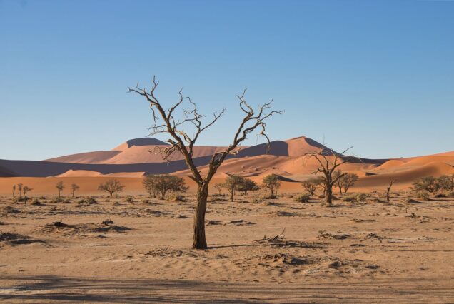 Sossusvlei